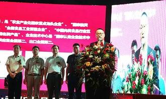 天福集团最新爆料新闻,揭秘企业转型背后的秘密与挑战  第2张